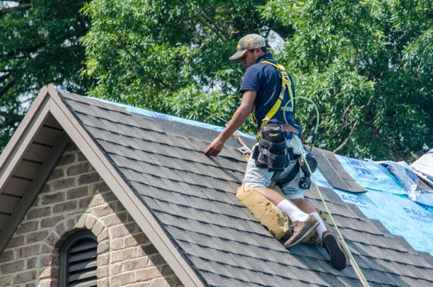 Quick and Trustworthy Emergency Roof Repair Services in Pampa, TX